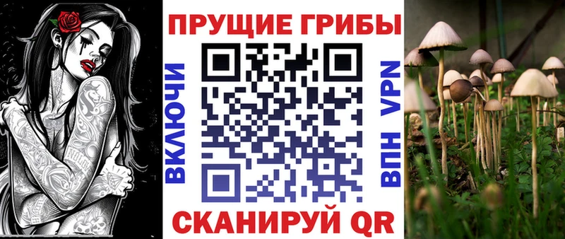 Галлюциногенные грибы ЛСД Ессентукская