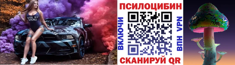 Псилоцибиновые грибы Psilocybine cubensis  Ессентукская 